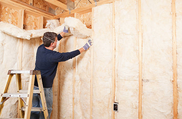 Types of Insulation We Offer in Caseyville, IL